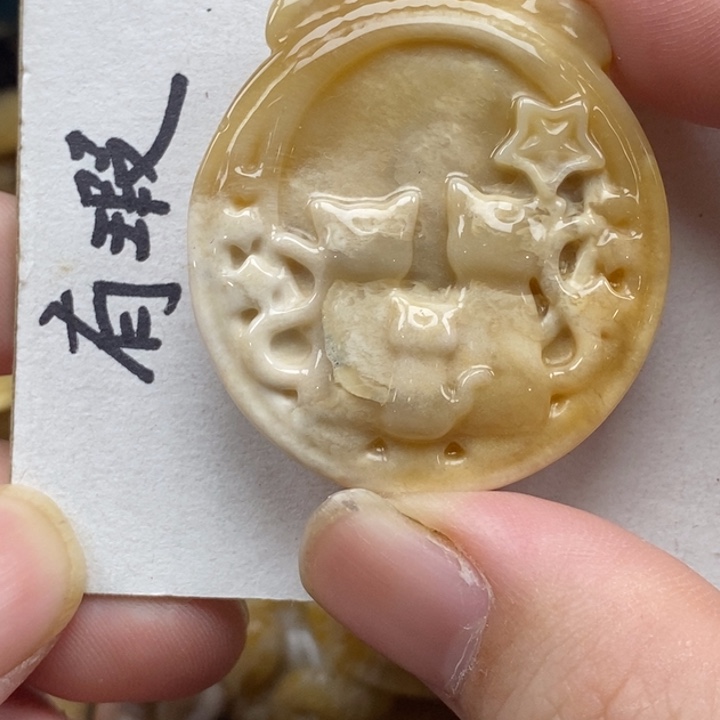 硅化珊瑚（珊瑚玉）未镶嵌颈饰