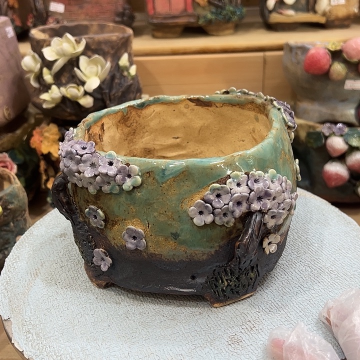 V***n多肉花盆百搭好看好看