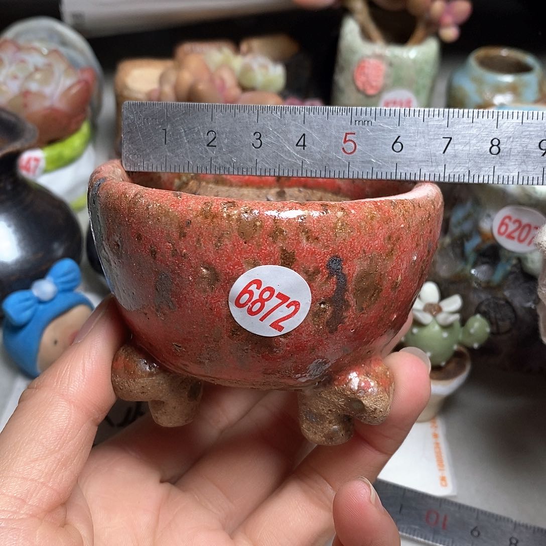 红陶拍5送一个小