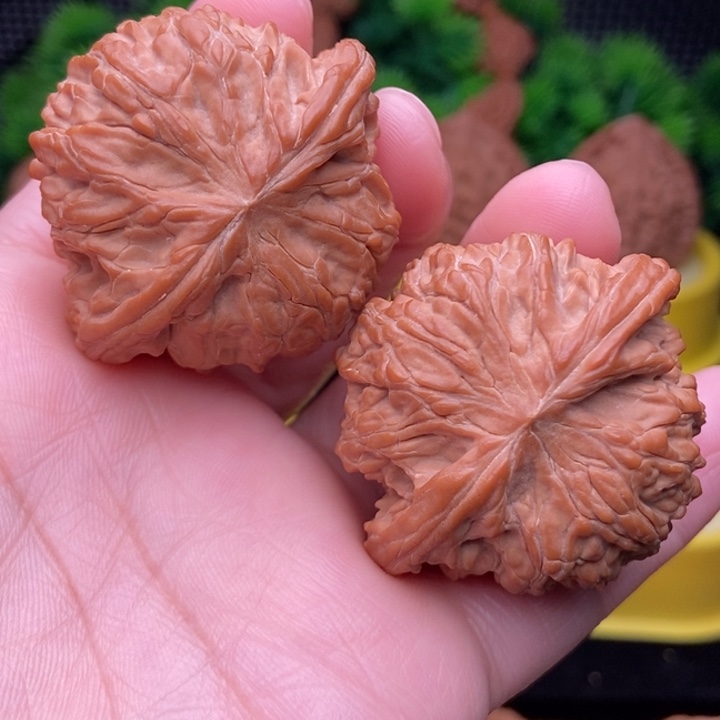 武**比磨盘43全品11111