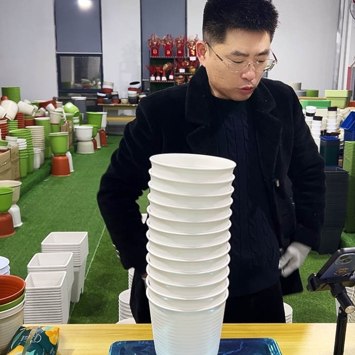 正品高陶口15高15白色8只无托