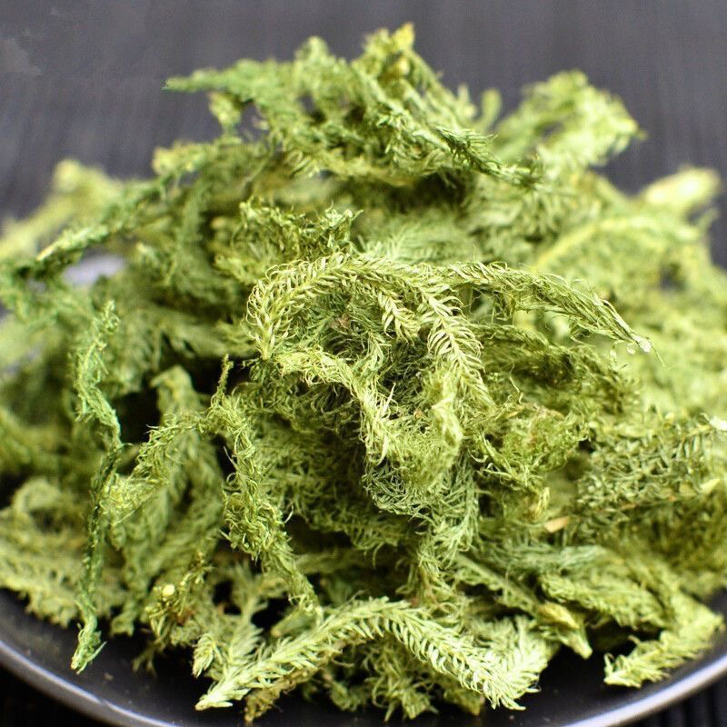 申金草 集市现收山货