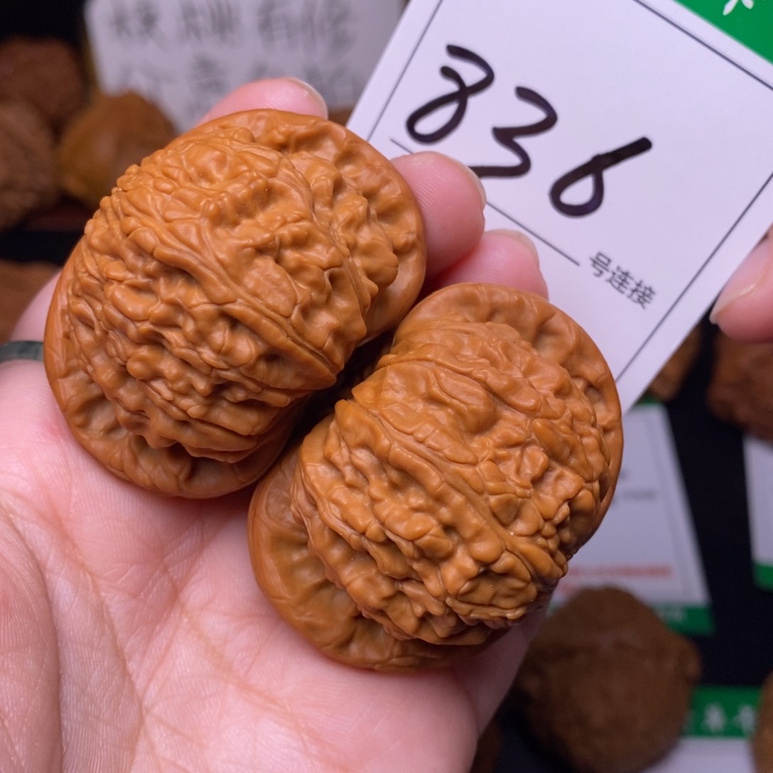 把件文玩核桃836白狮子4.7