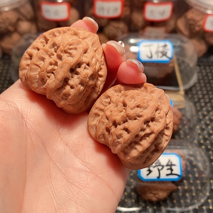 核桃手串/手链40尺寸佛肚
