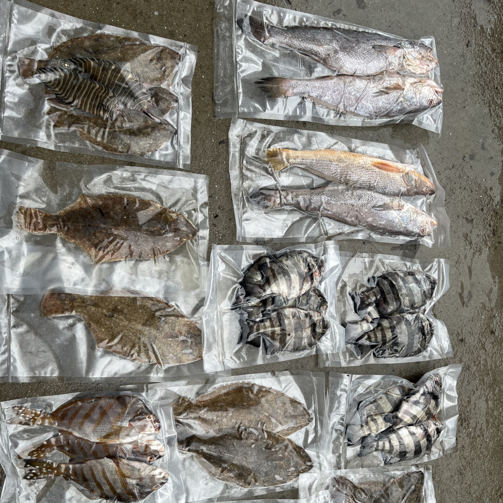 枸杞岛海鲜直购目前直发江浙沪