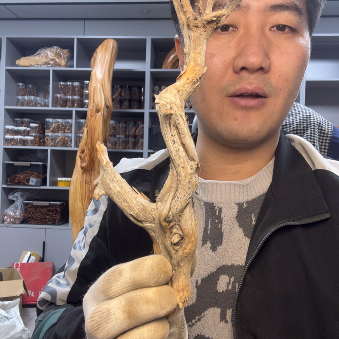 木太行崖柏毛料摆件