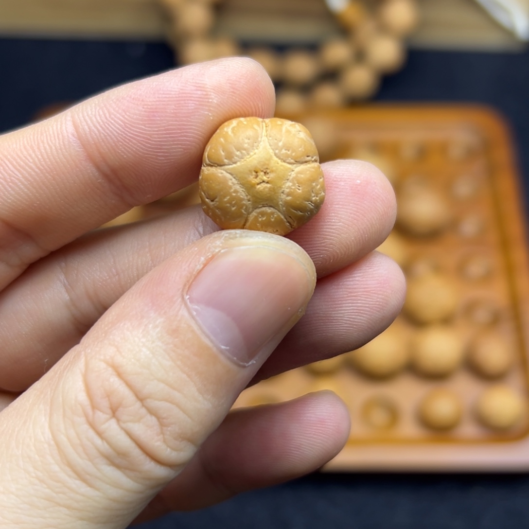 ****凤眼菩提手串16.9五星上将非质量问题不退不换