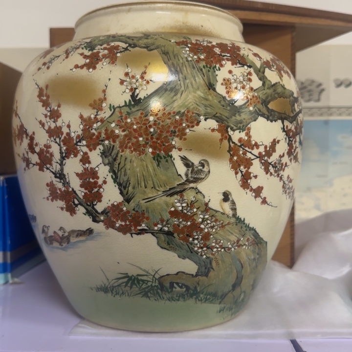 紫砂啦啦啦啦啦啦骄***强