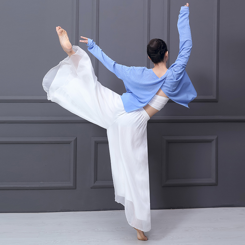 后背大开叉微透现代舞练功服女成人舞蹈演出服套装新款舞蹈服装女