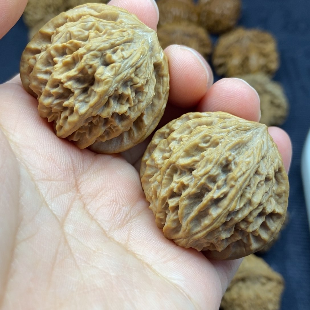 秦岭核桃流星雨3号链接33333