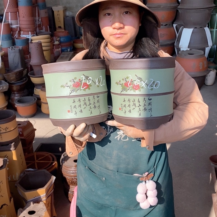 紫砂花盆盆栽花卉苗木种植