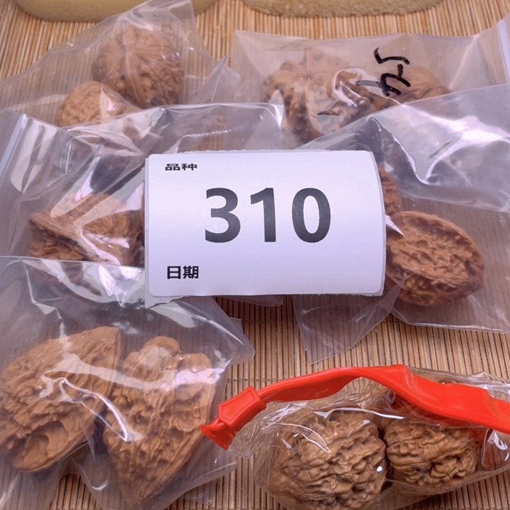 文玩核桃把件310号6对