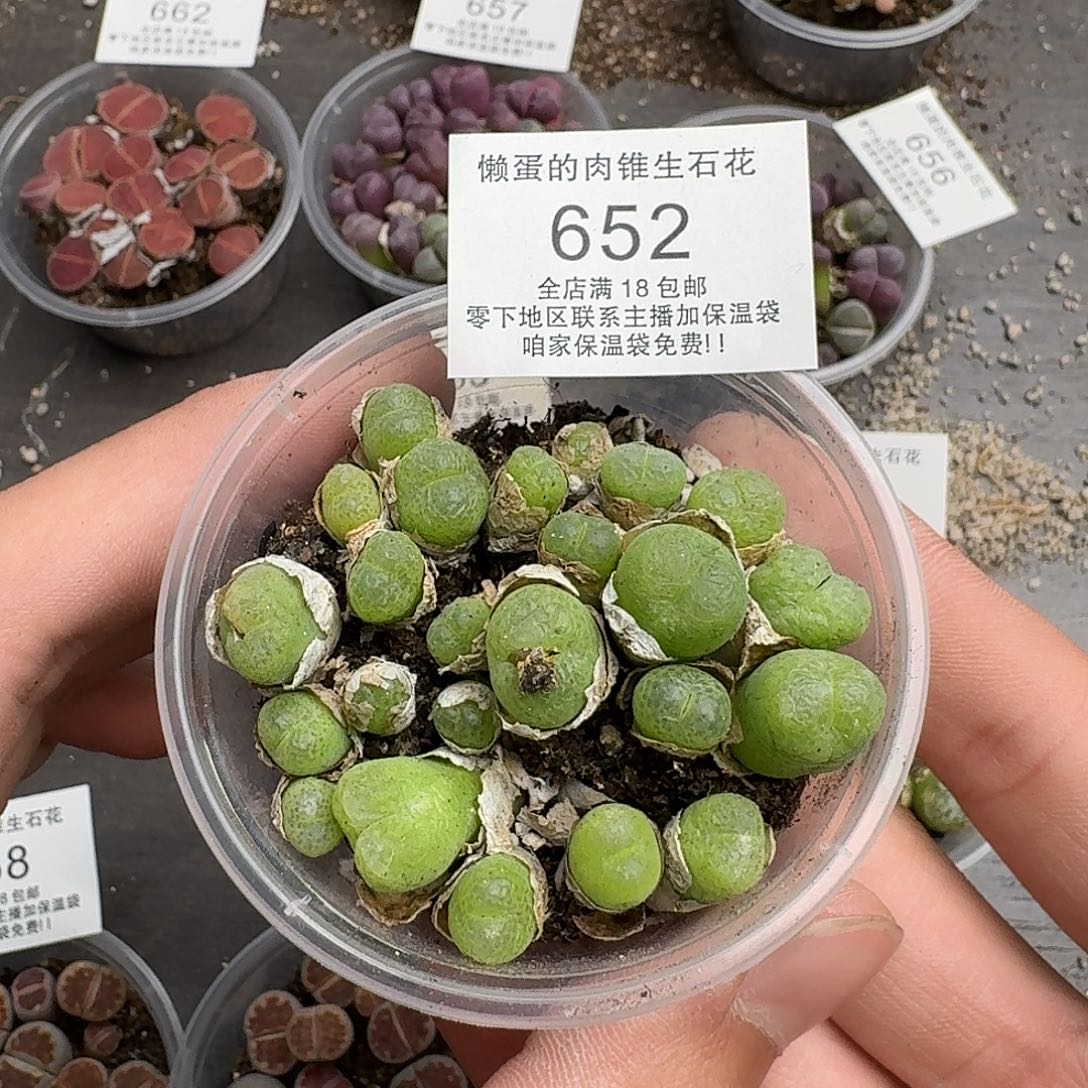 652满18 包邮保温袋联系客服