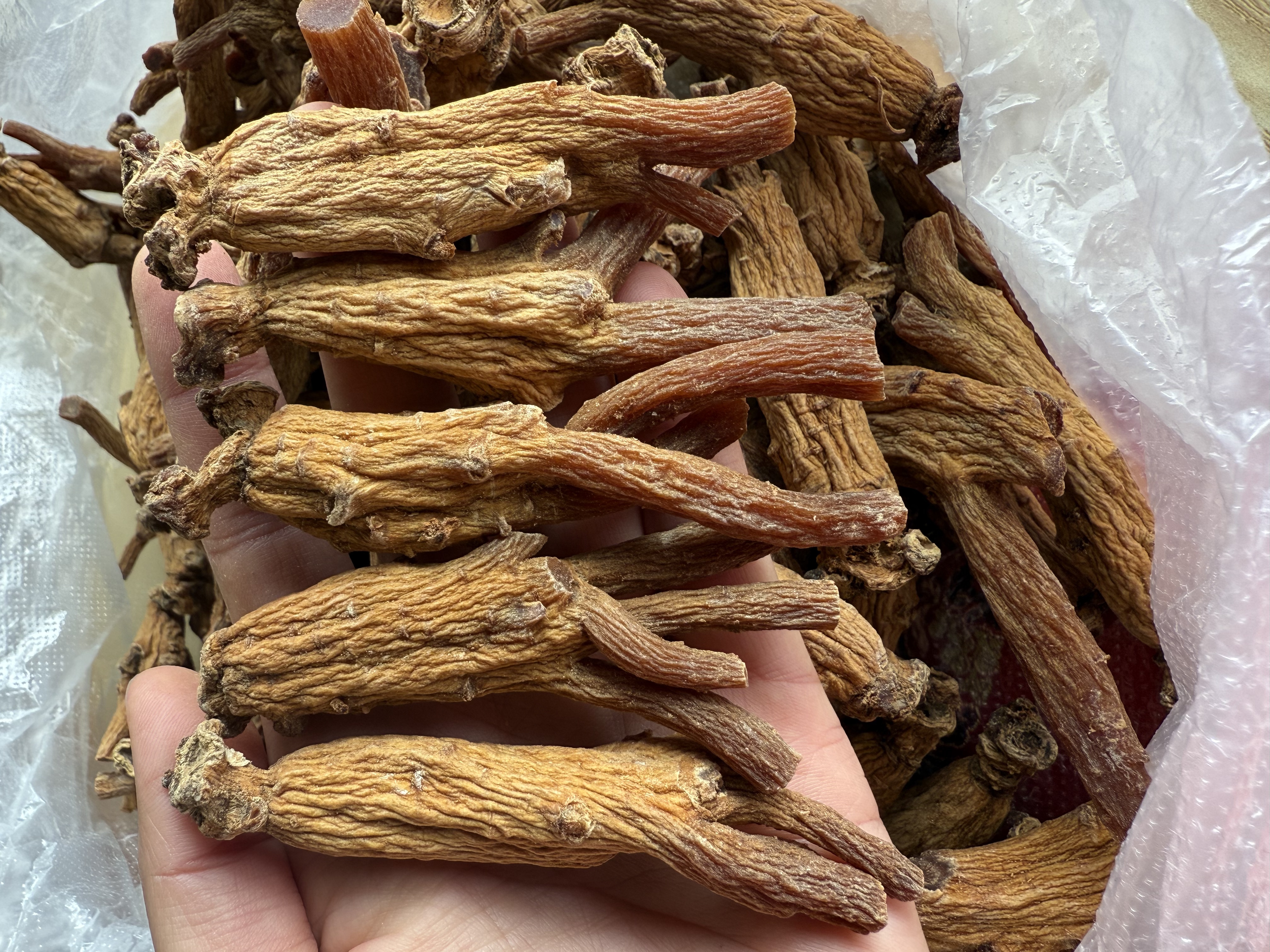 精选山货 老山参龙爪参高丽参 