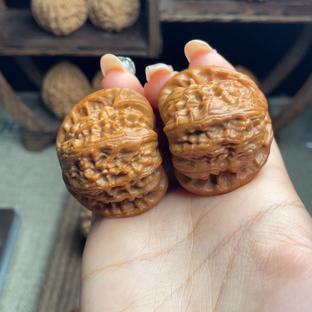 木质白狮子41 全品打底精配毕业红皮