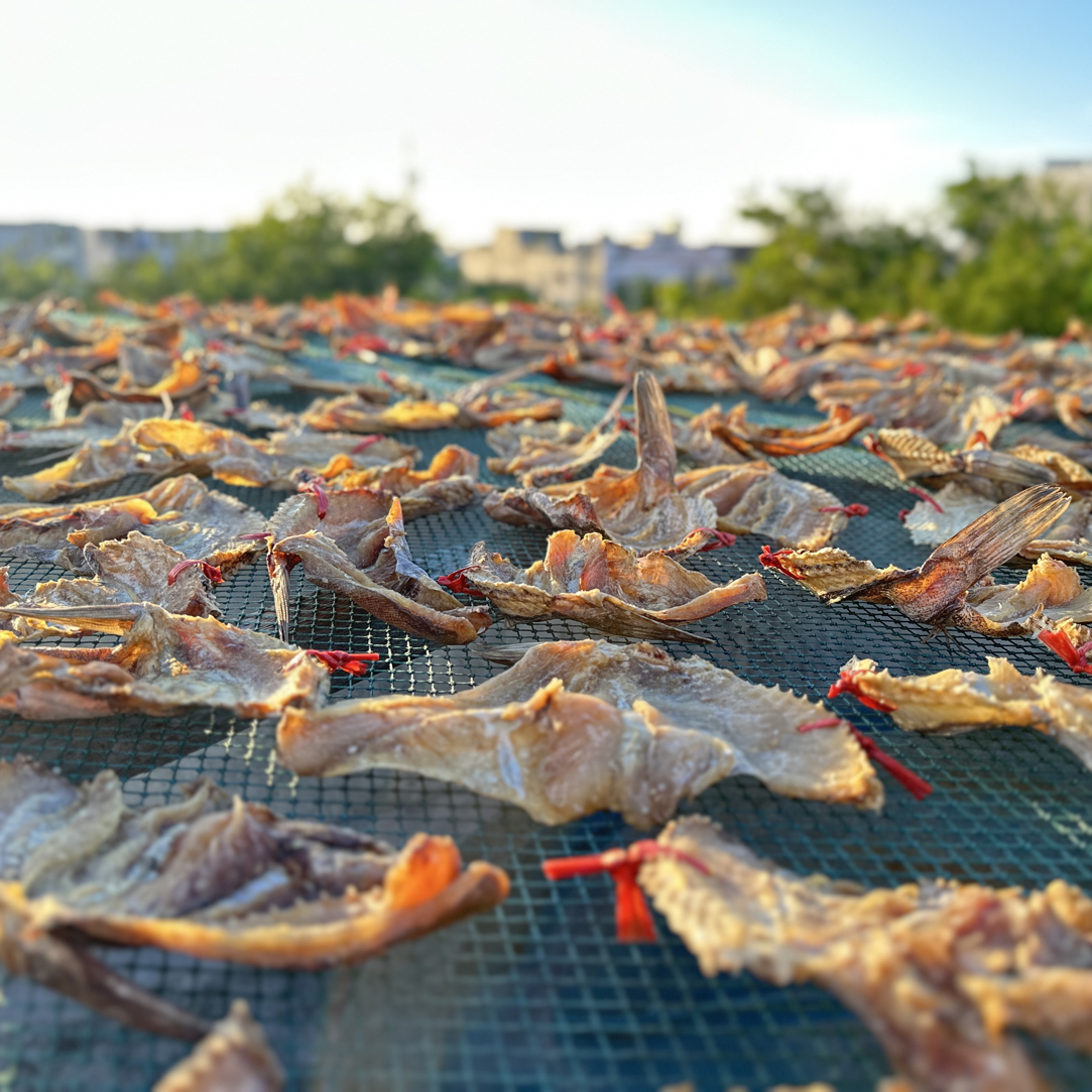 海南儋州渔民自晒，野生大头鱼海鲜干货 天然晾晒 无添加 