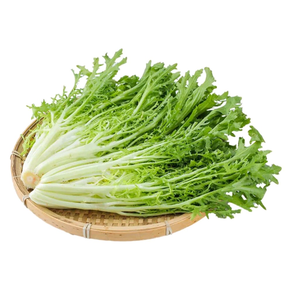 苦菊 约250g苦菊