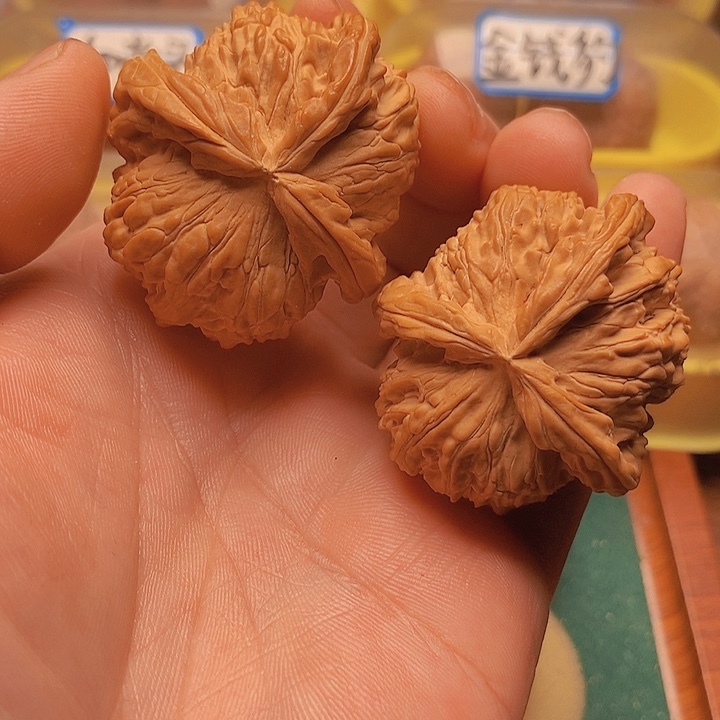 文玩核桃把件47*43全品白狮子三棱人丁兴旺