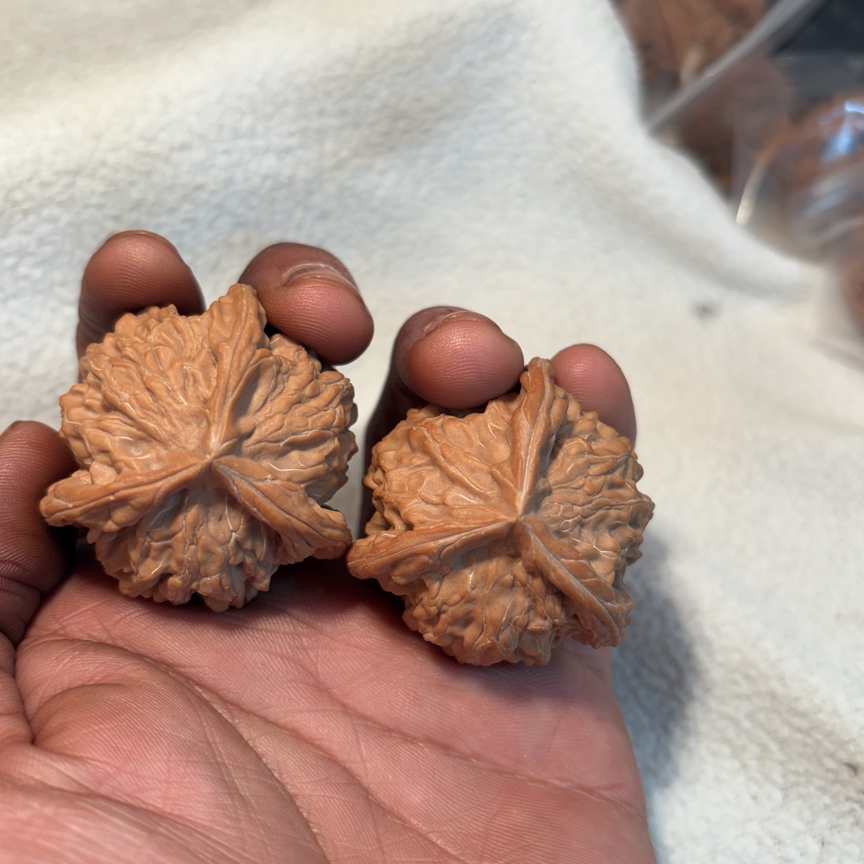 精品头货盘山三楞 转圈40高36