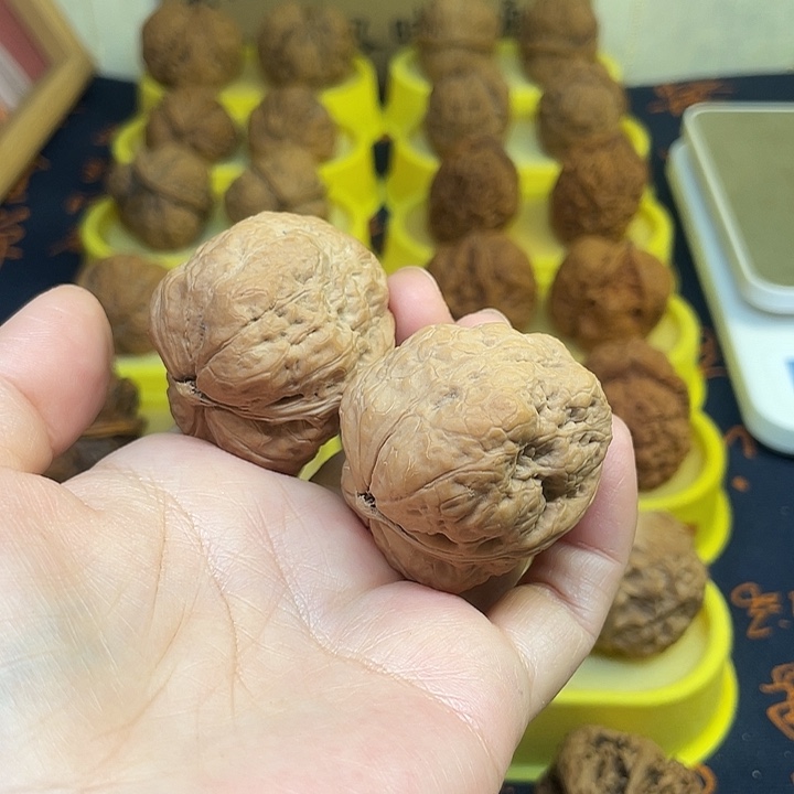 怪***～文玩核桃把件平头蟾41