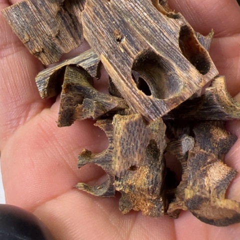 沉香碎屑沉香张勺子碎料20g