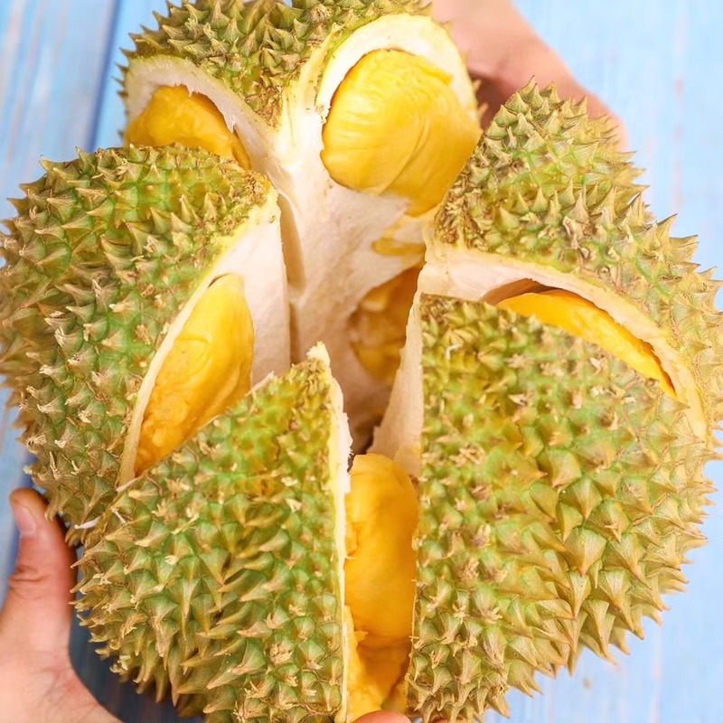 【一物一拍】泰国树熟金枕榴莲新鲜菲液氮