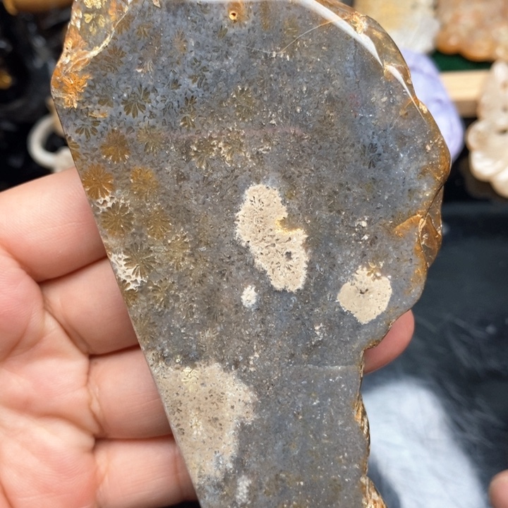 硅化珊瑚（珊瑚玉）手镯未镶嵌