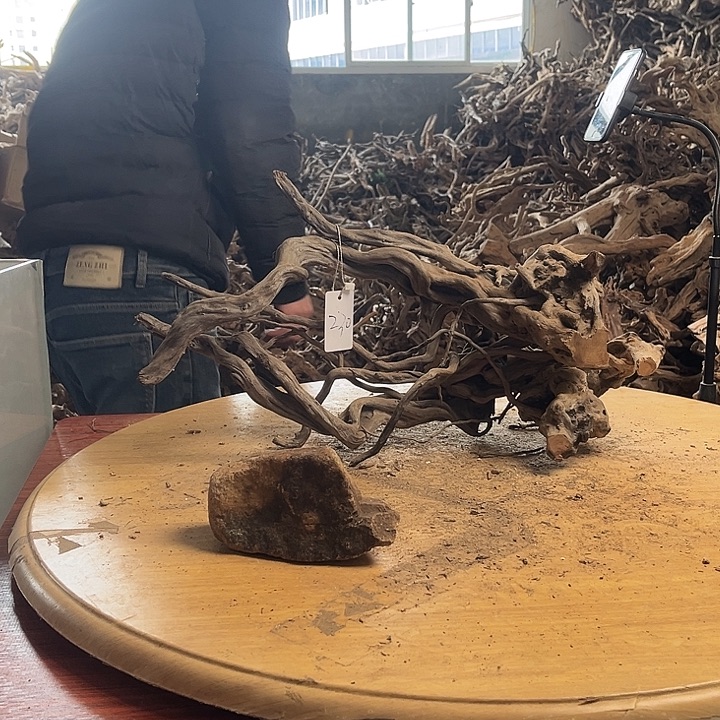 木鱼缸造景根雕艺术230