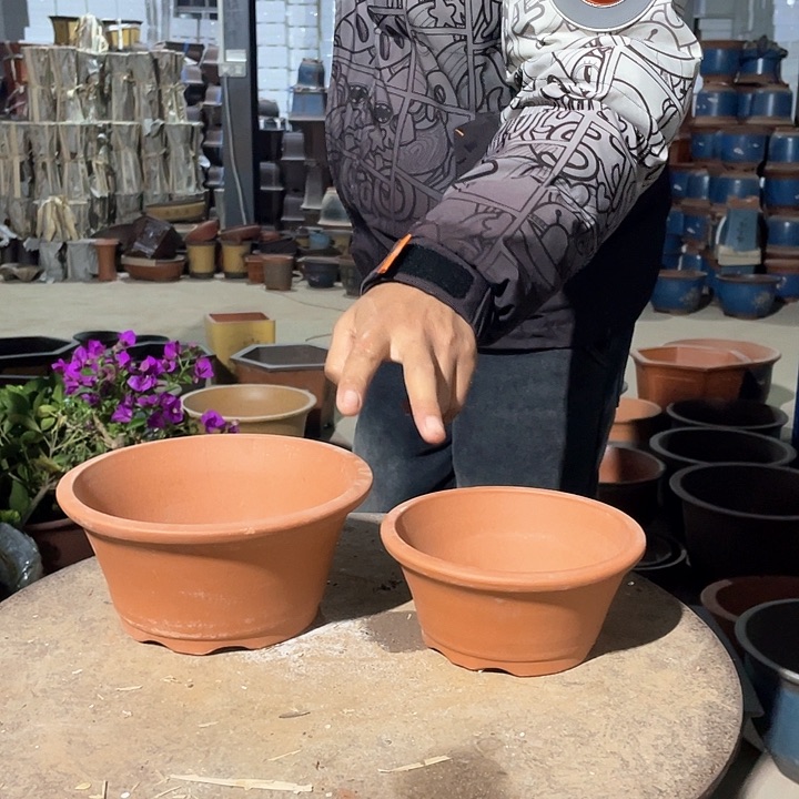 紫砂黄色都很好吃