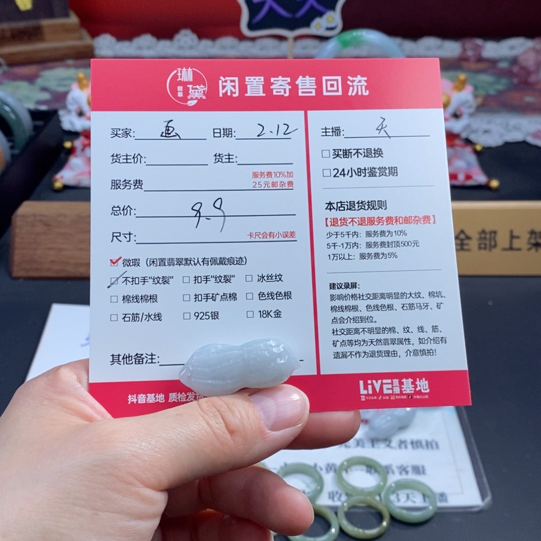 翡翠颈饰未镶嵌画*言