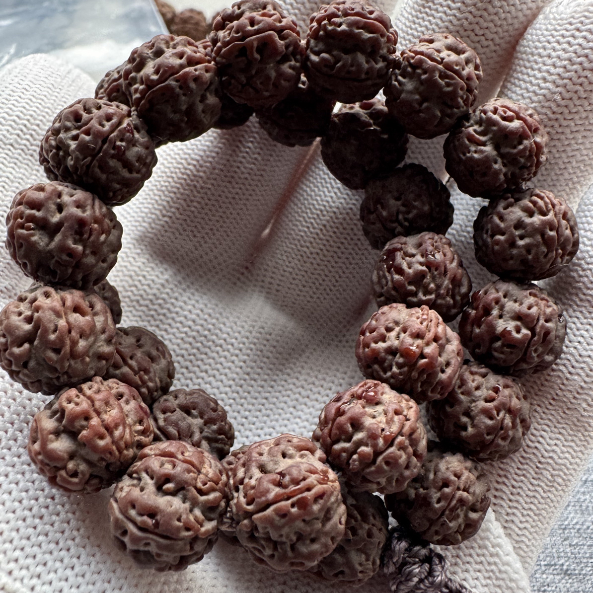 老树梅花颗颗下水颗颗精挑