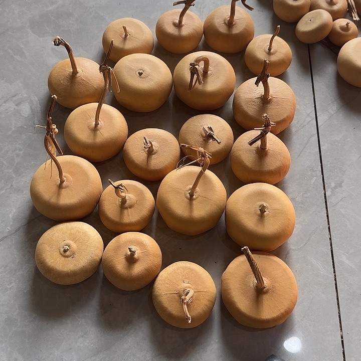 豌****老公摩羯两咯模拟磨砂皮……抖