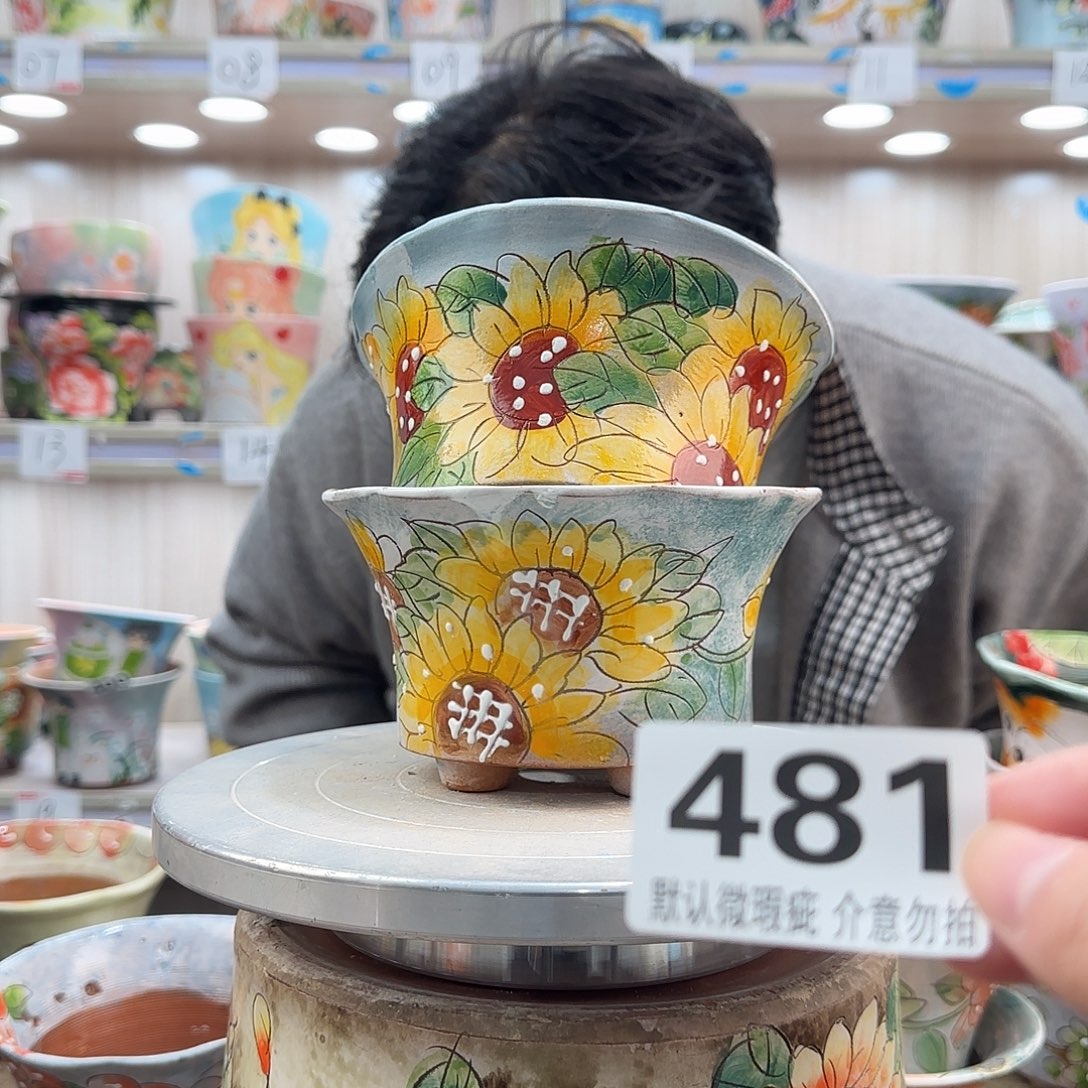 瑕疵瑕疵瑕疵瑕疵481