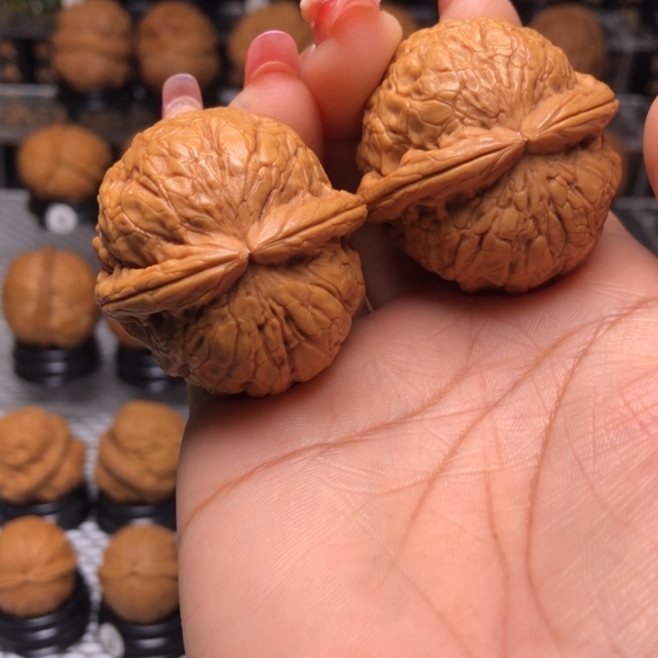 橄榄核把件13金龟玉甲