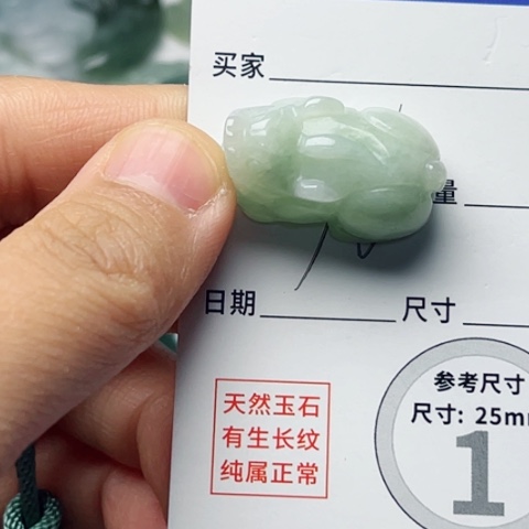 翡翠颈饰未镶嵌貔貅