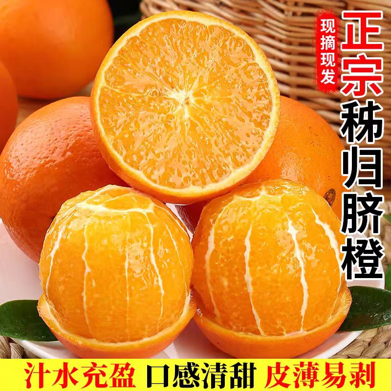 三峡秭归脐橙新鲜采摘带箱5斤/9-10斤应季水果坏果包赔售后无忧Z1