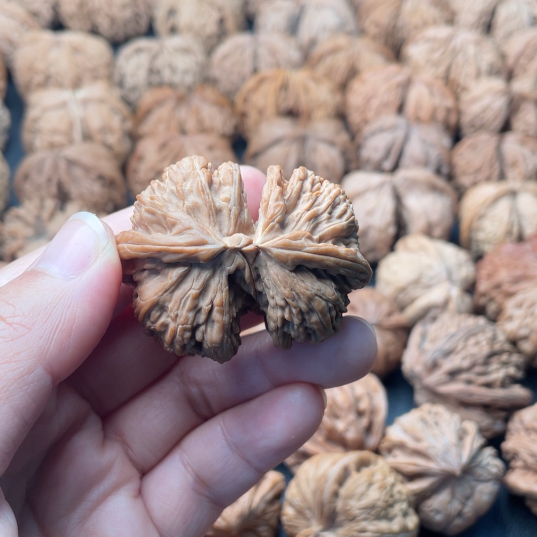 把件文玩核桃49白狮子连体