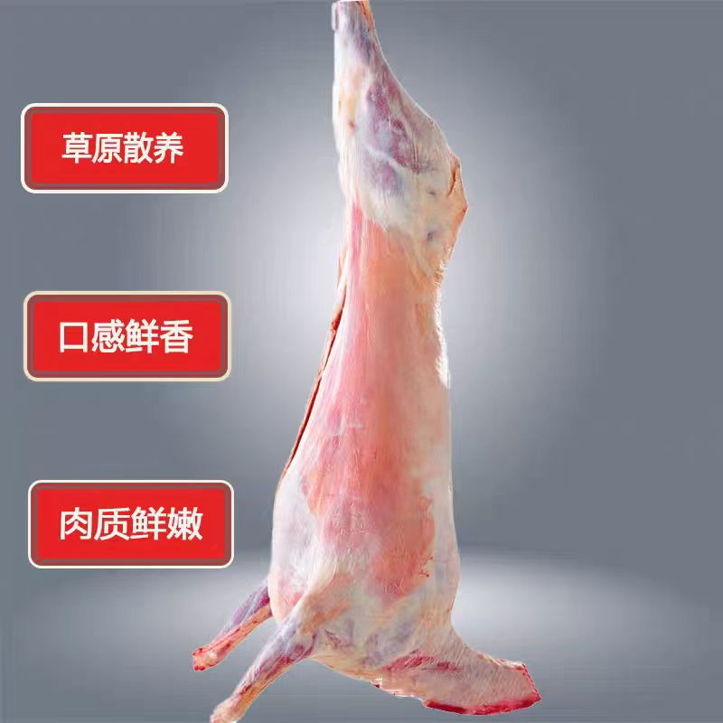 草原散养溜达羊整羊整扇100%腿排17斤以上
