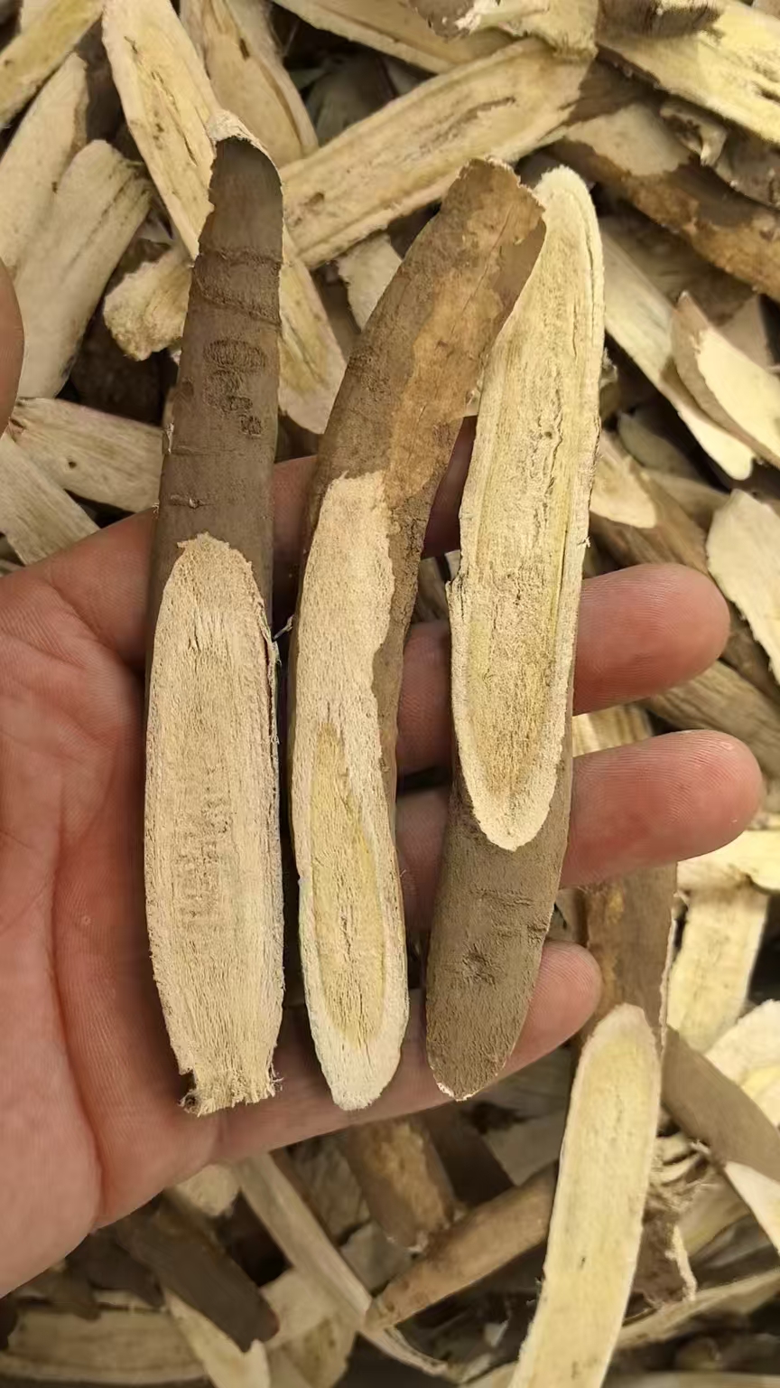 【黄芪】四川理塘 黄芪泡水煮水 煲汤 现收山货 可搭配党参煮水煲汤