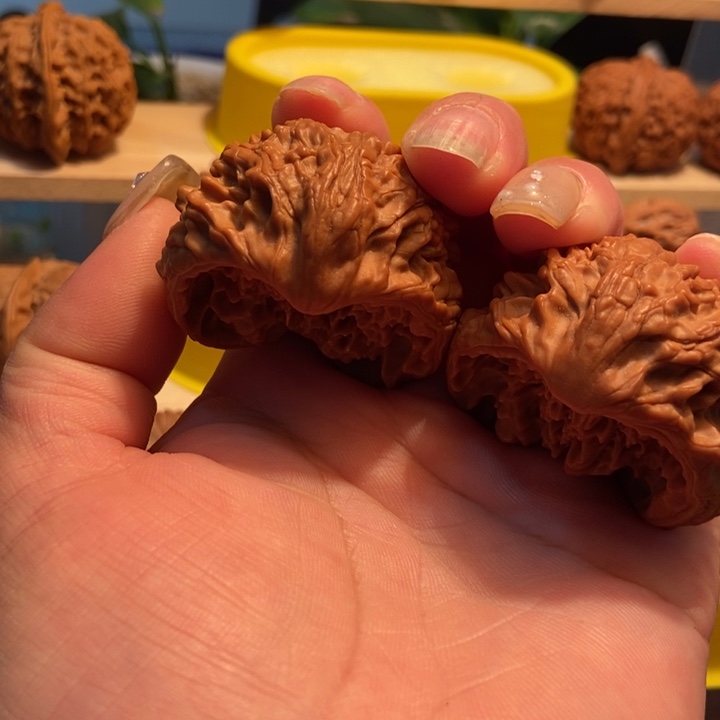 官方网站发布消息