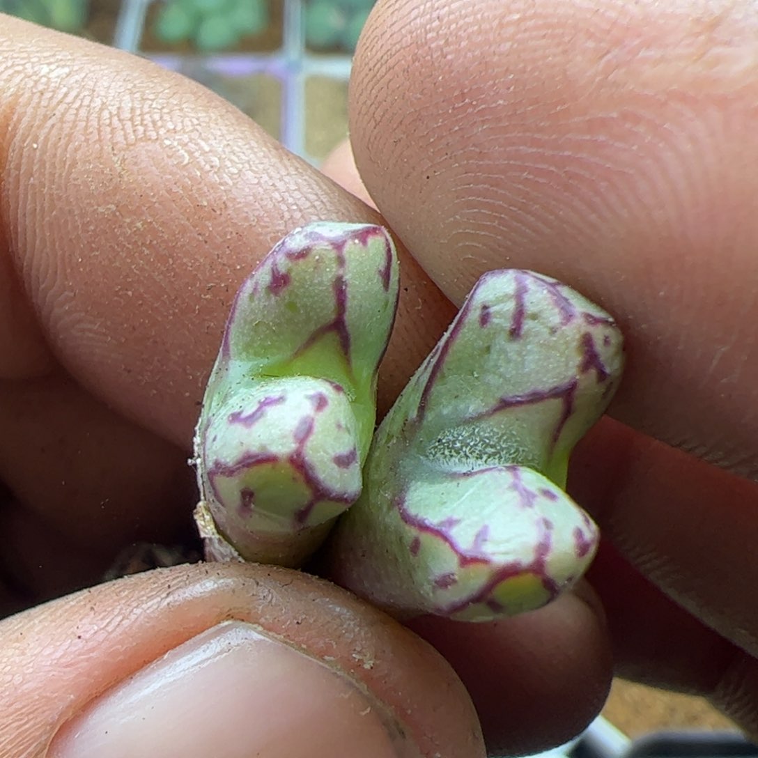 大家过年好22565