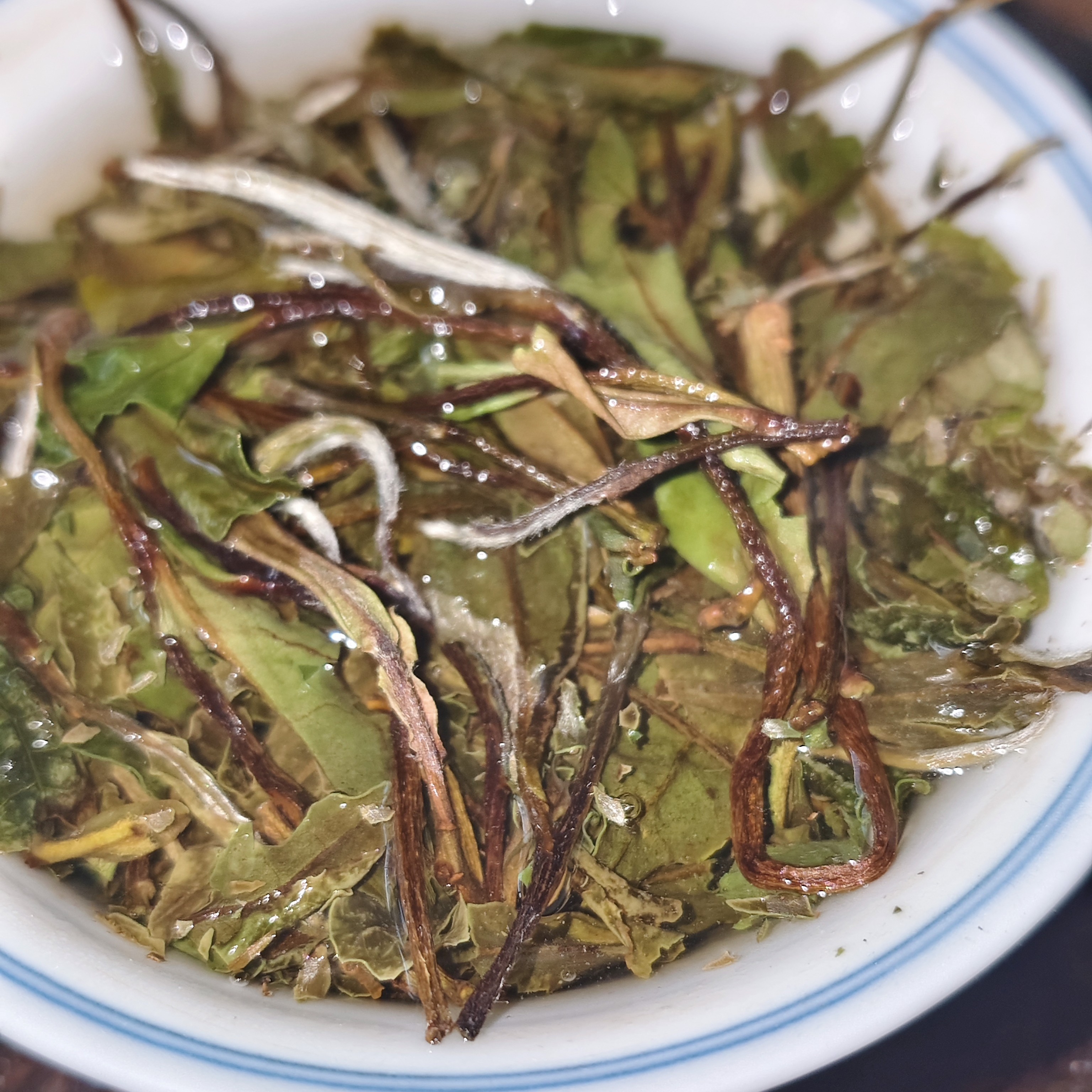 【紫雲·山岚野趣】2021超野荒枞白牡丹山间雾气与野趣交织