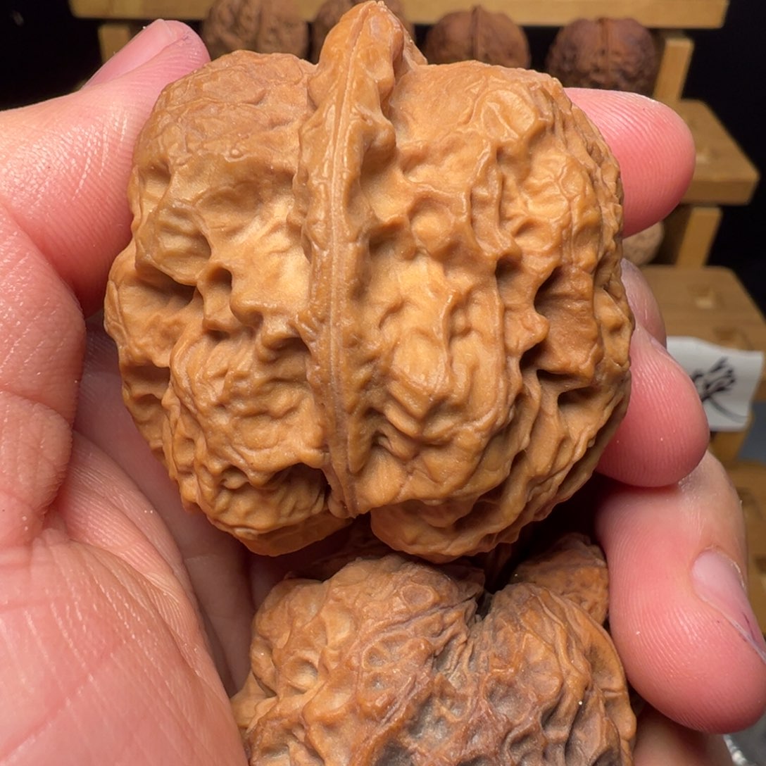 文玩核桃吊坠至尊元宝蟾45mm
