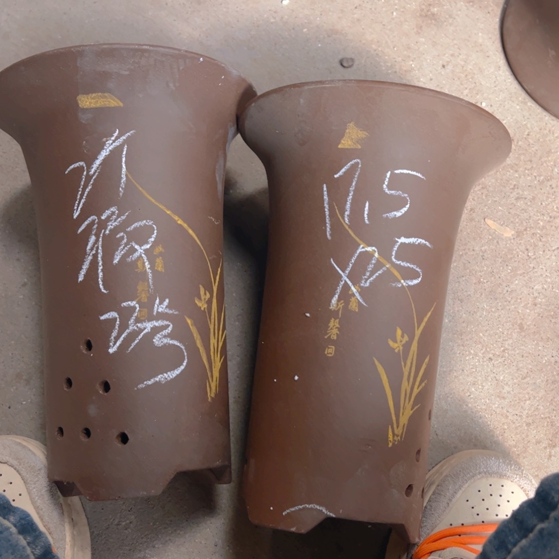 紫砂23……………………………………