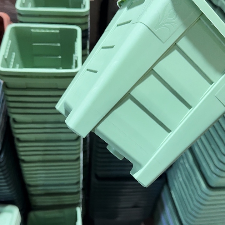 方16口径10个无托浅绿