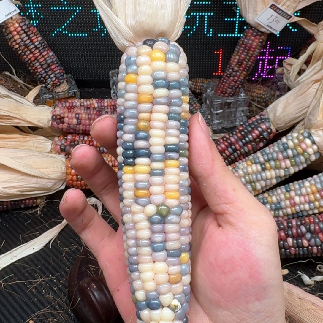 柏香籽/百香籽吊坠幽*