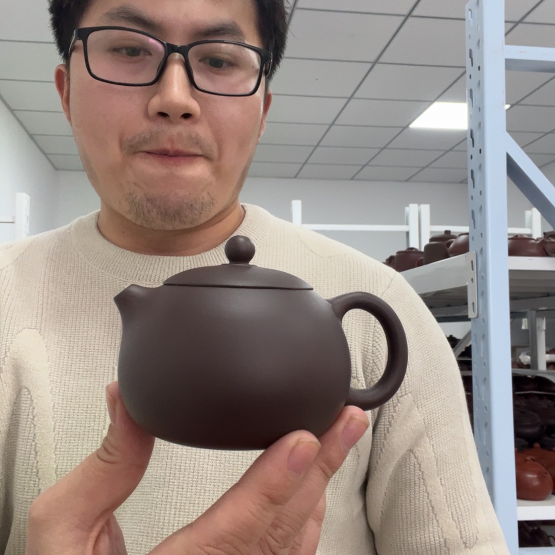 紫砂茶壶紫泥小西施