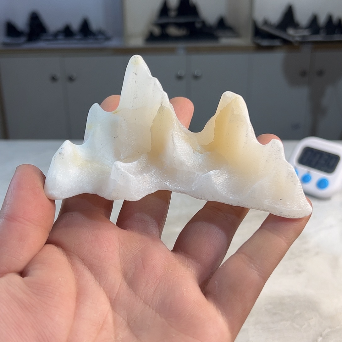 灵璧奇石博览会金奖