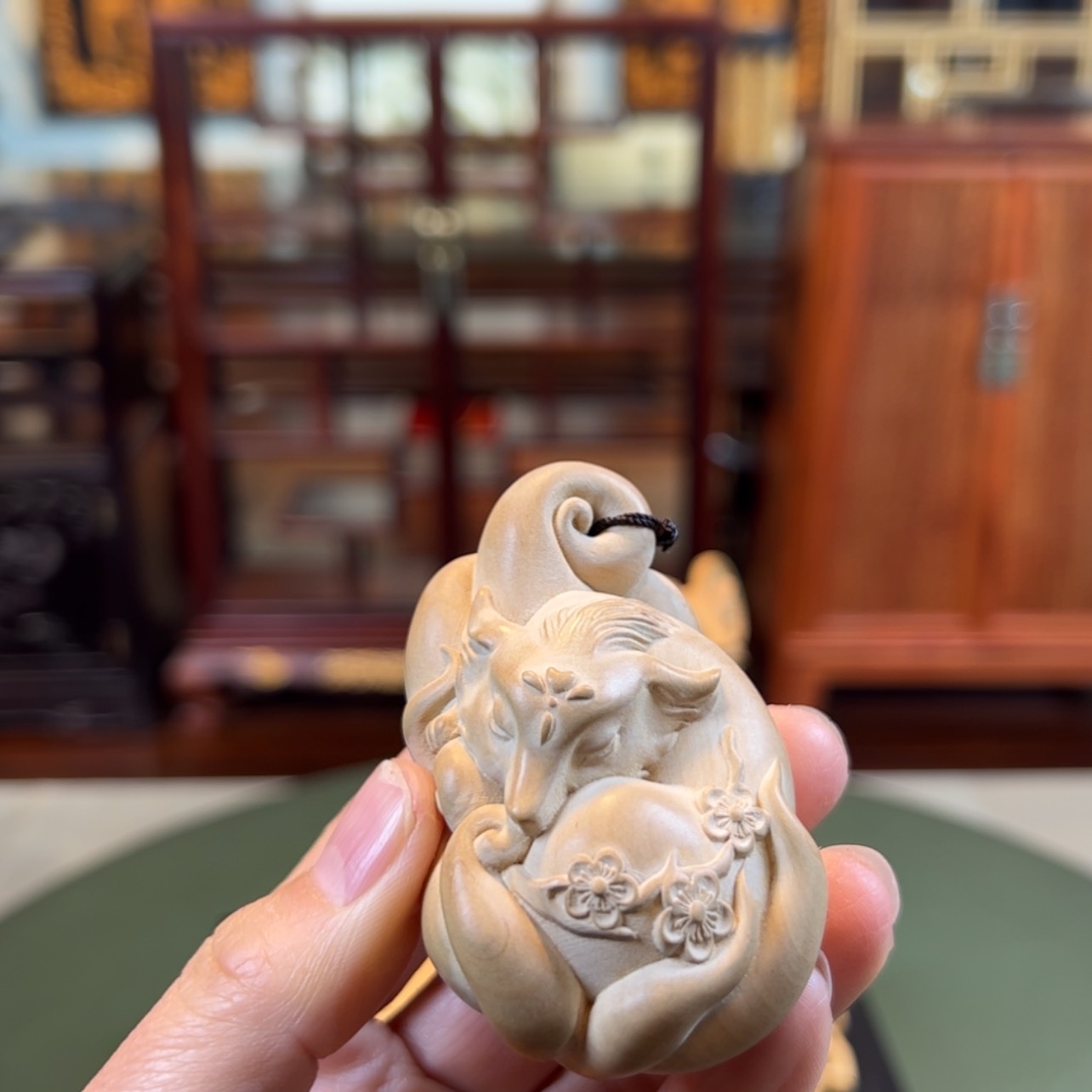 【闪购商品】黄杨木其他黄杨木