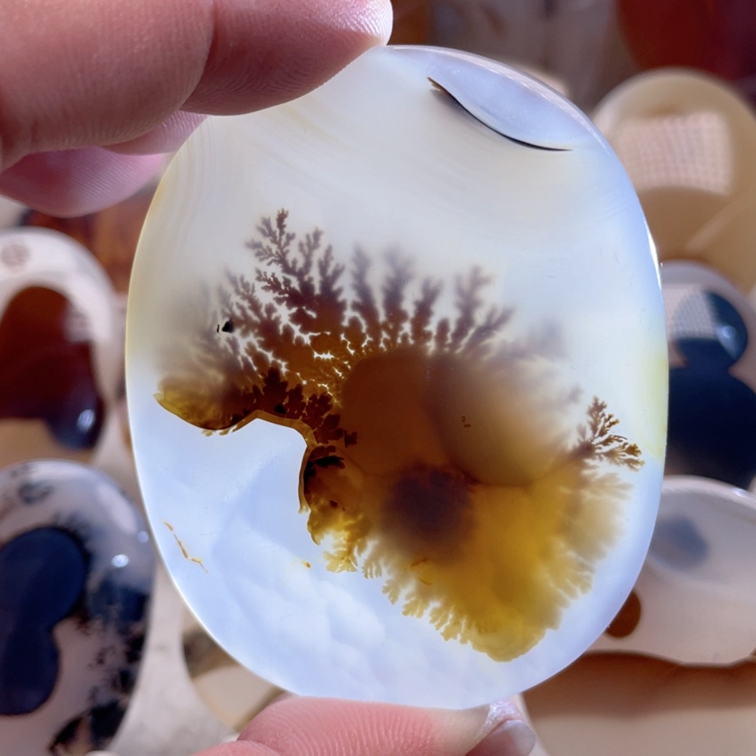 【闪购商品】玛瑙/玉髓颈饰合金